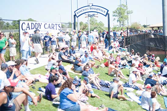 crowd at tampa bay rays spring training