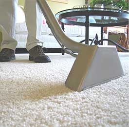 carpet steam cleaning